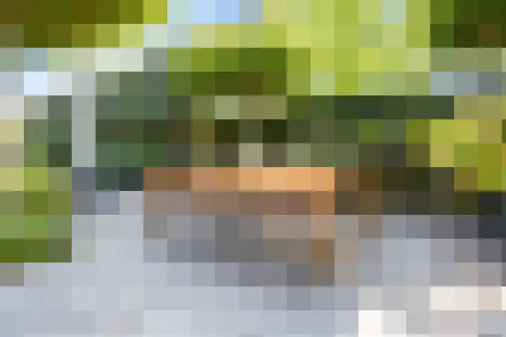 Laan van de 17e september 10 Arnhem thumbnail 61