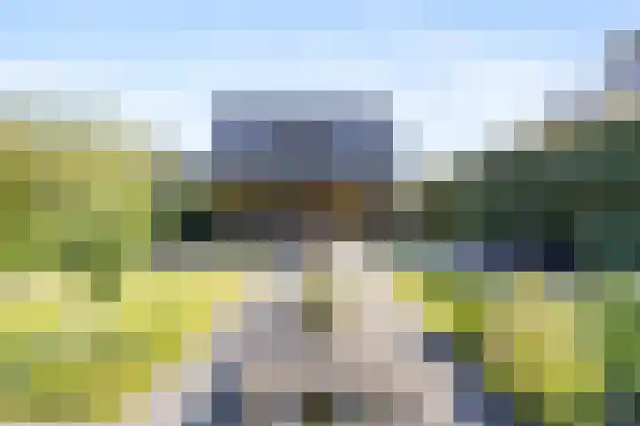 Laan van de 17e september 10 Arnhem thumbnail 62