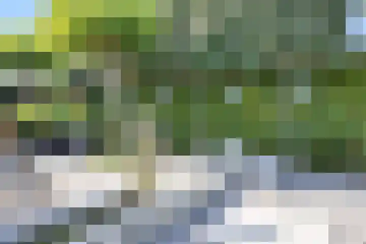 Laan van de 17e september 10 Arnhem thumbnail 63