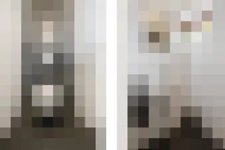 Laan van de 17e september 10 Arnhem thumbnail 7