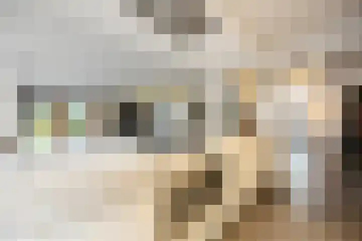 Laan van de 17e september 10 Arnhem thumbnail 8