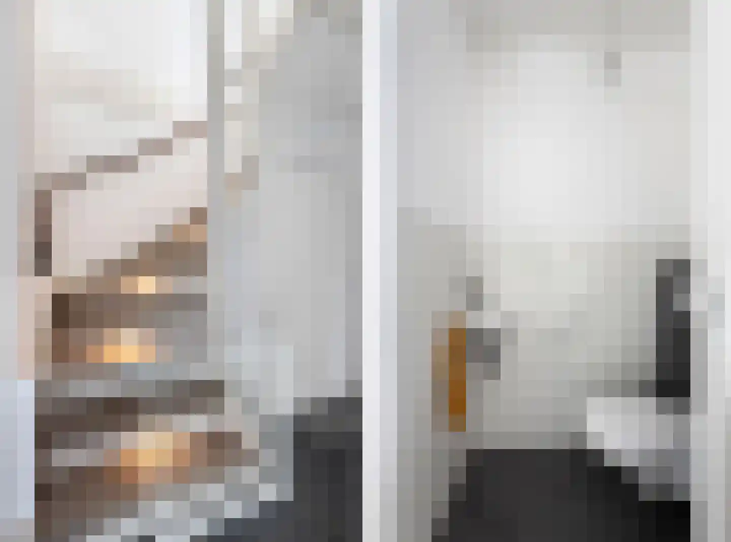 Laan van de Bevrijding 14 Arnhem thumbnail 11