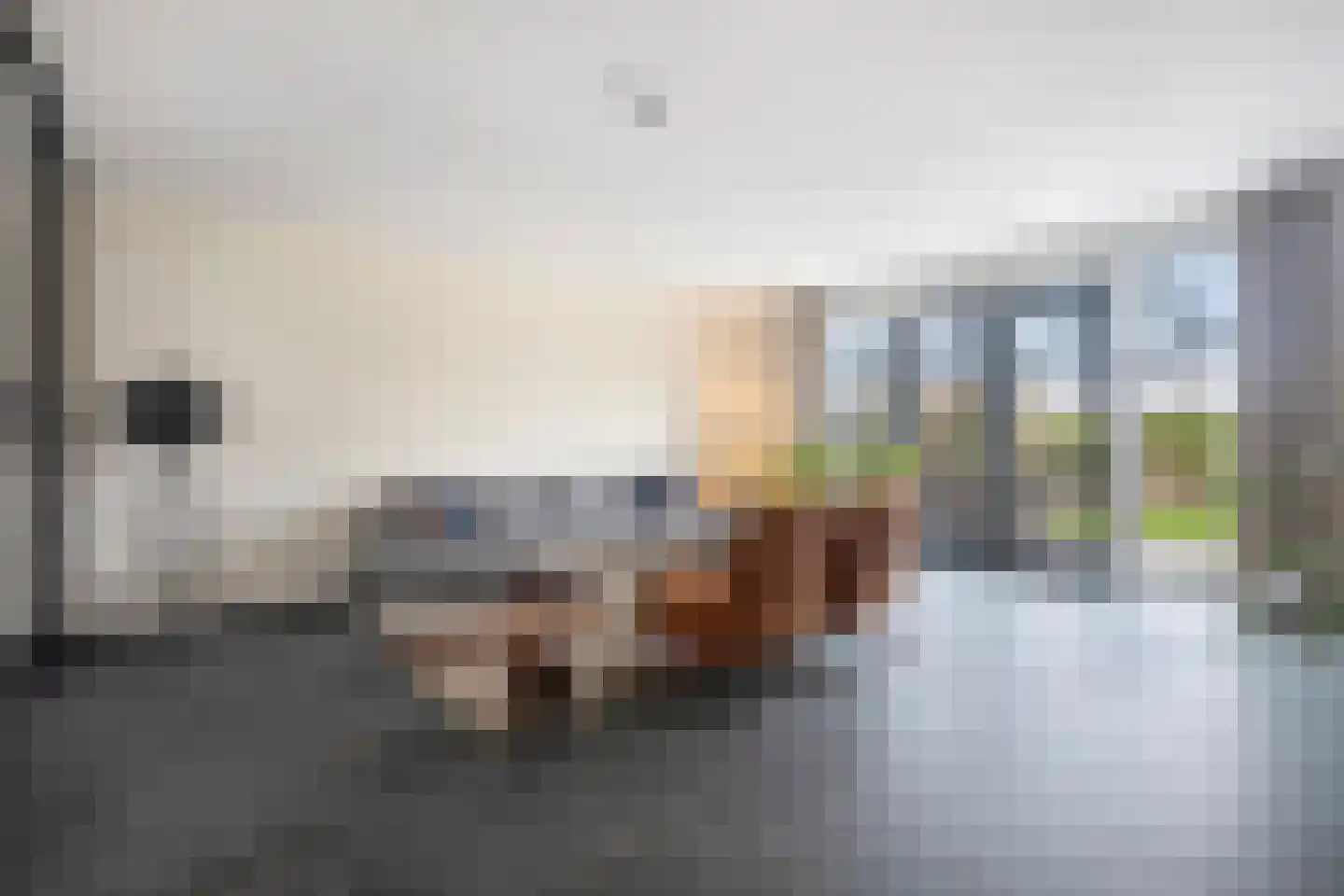 Laan van de Bevrijding 14 Arnhem thumbnail 15