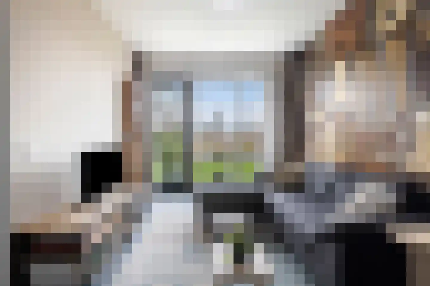 Laan van de Bevrijding 14 Arnhem thumbnail 17