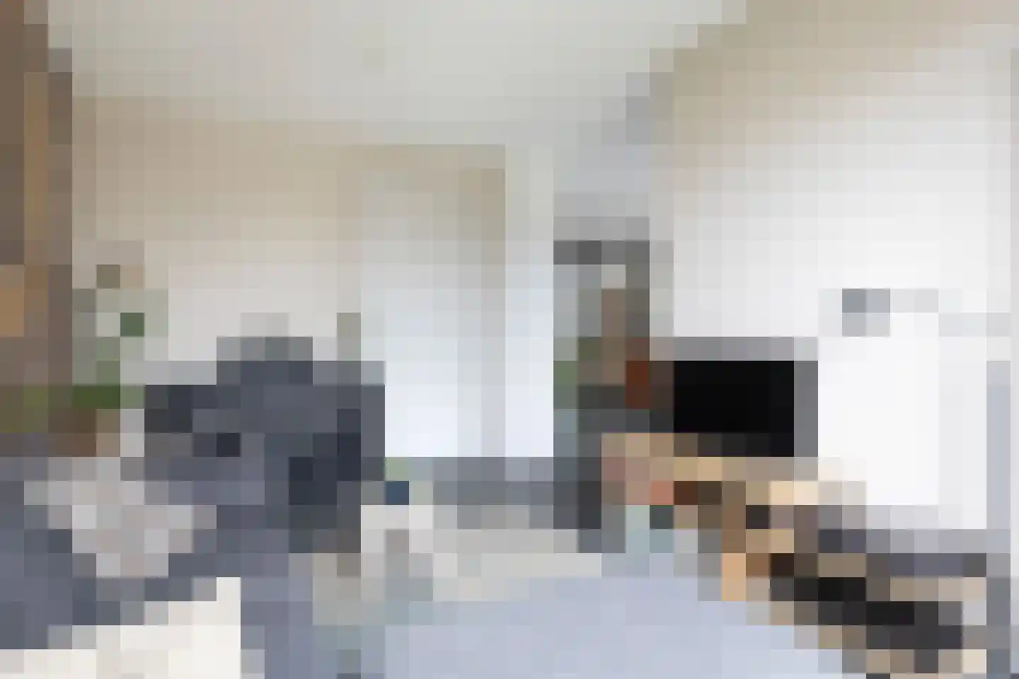 Laan van de Bevrijding 14 Arnhem thumbnail 18