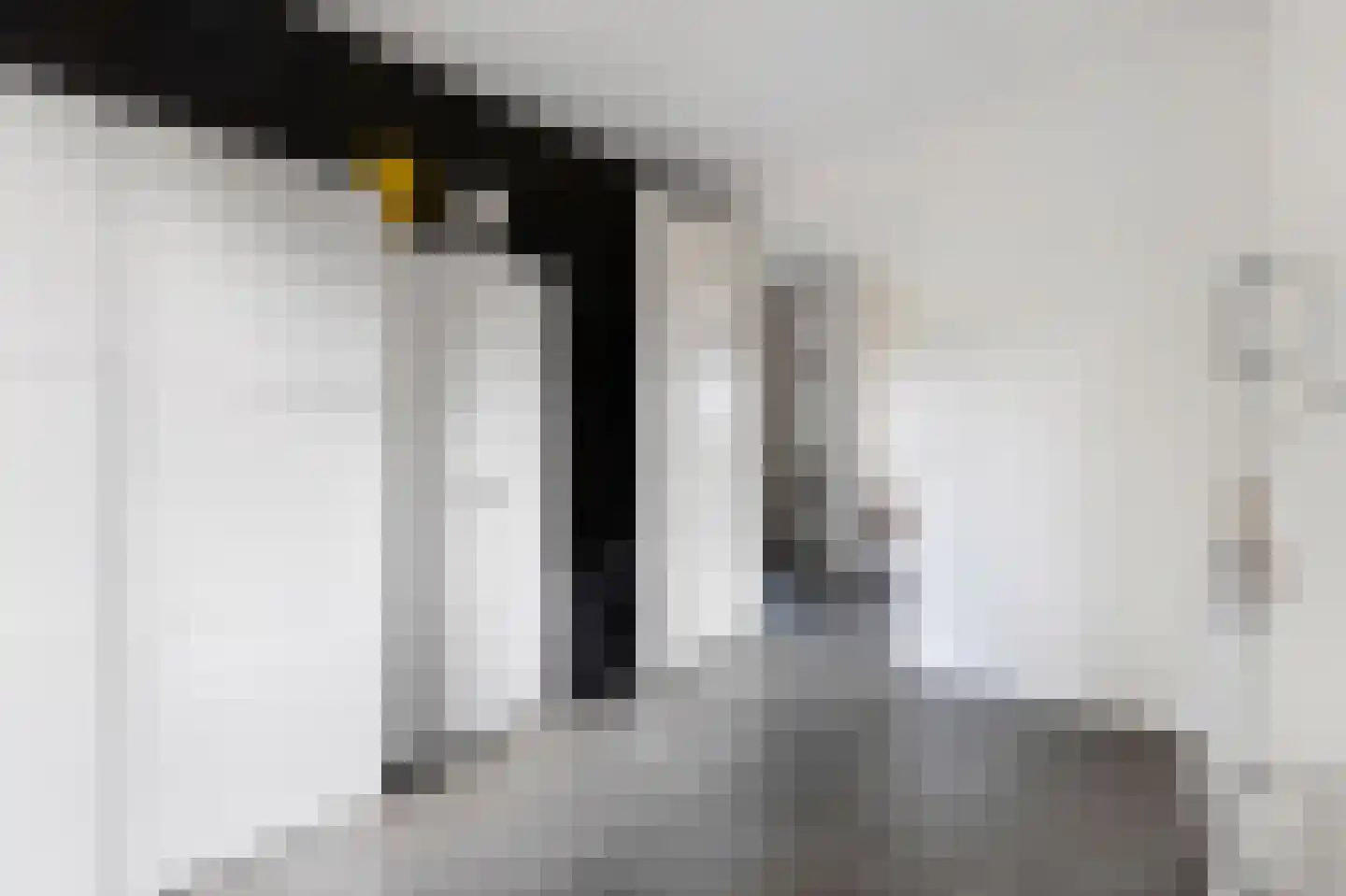 Laan van de Bevrijding 14 Arnhem thumbnail 20