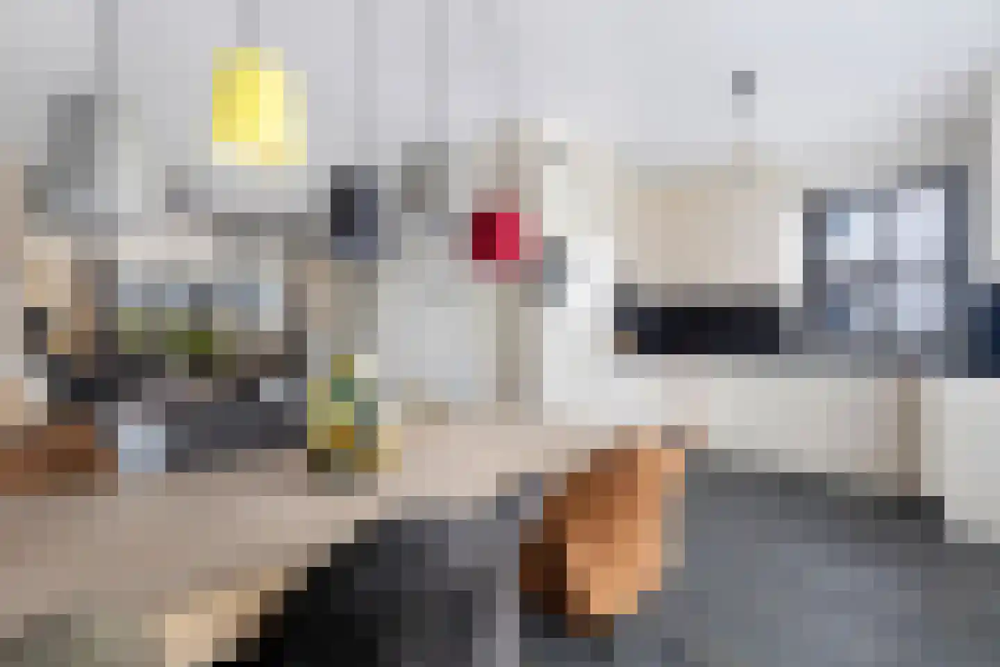 Laan van de Bevrijding 14 Arnhem thumbnail 21