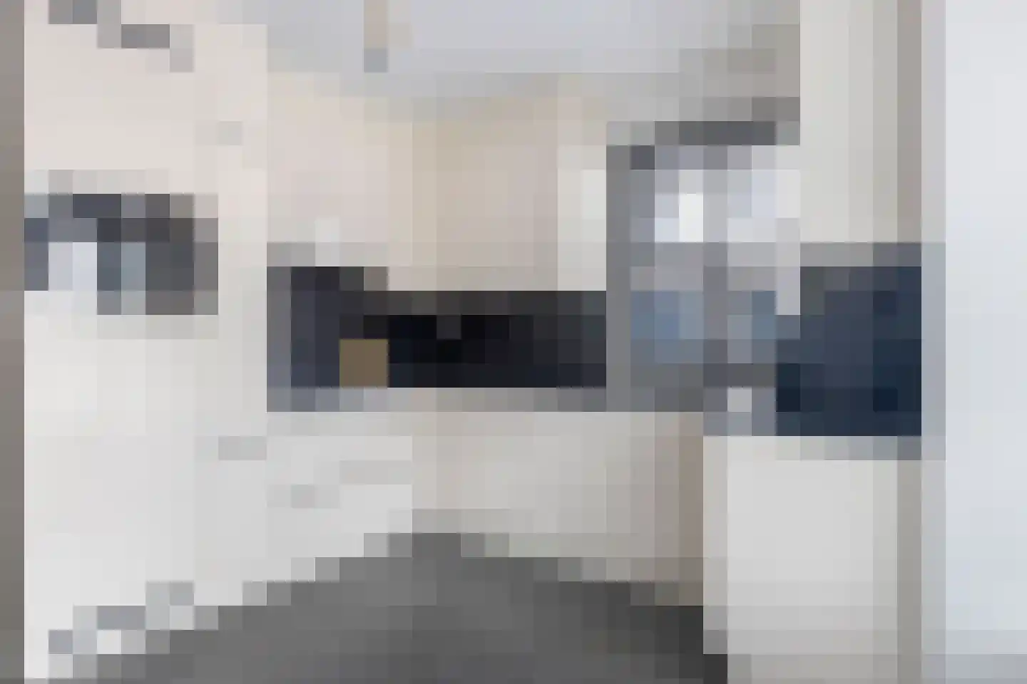 Laan van de Bevrijding 14 Arnhem thumbnail 23