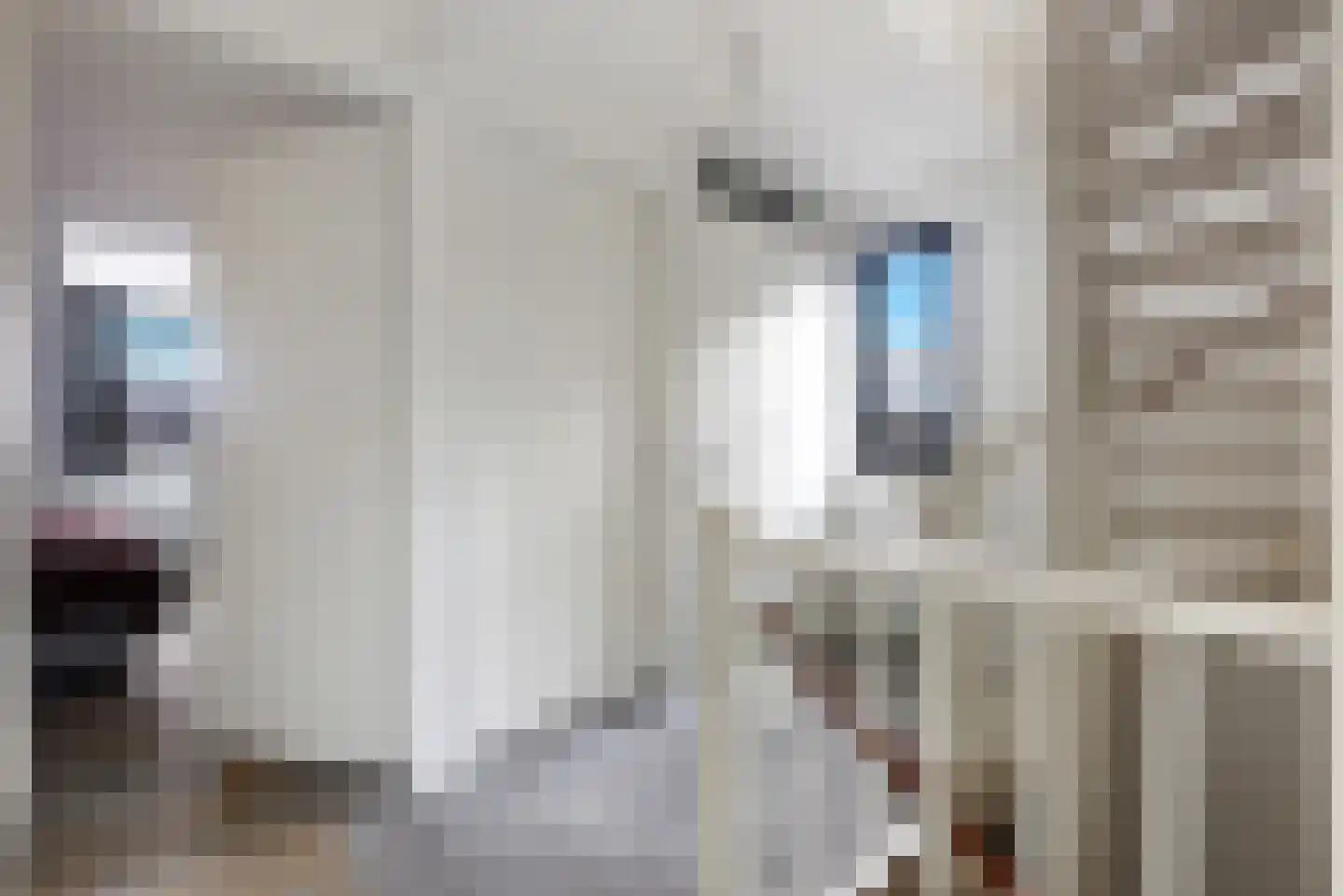 Laan van de Bevrijding 14 Arnhem thumbnail 24