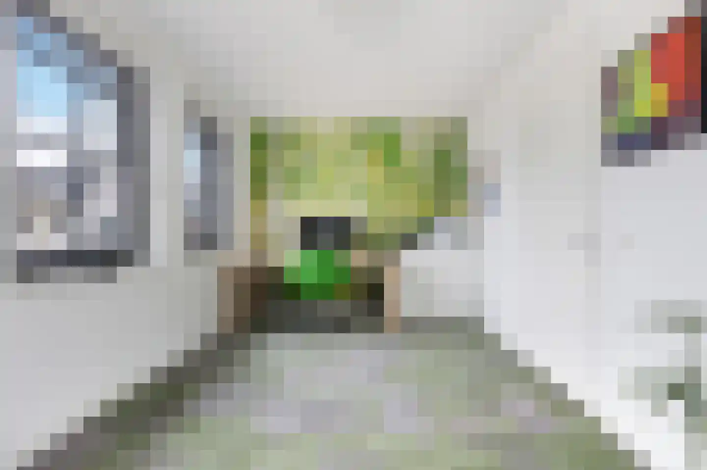 Laan van de Bevrijding 14 Arnhem thumbnail 25