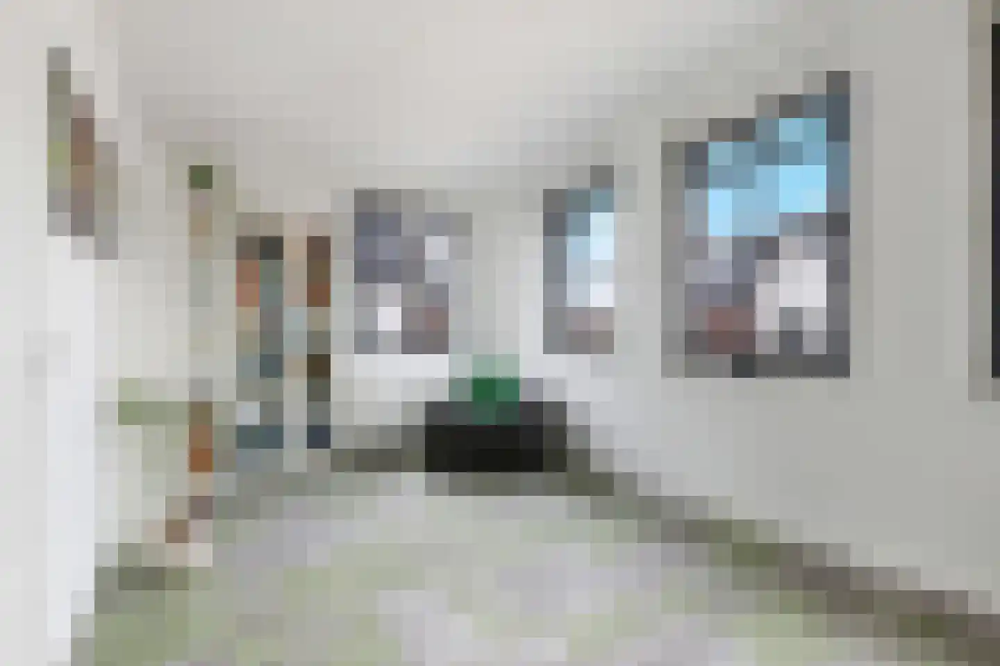 Laan van de Bevrijding 14 Arnhem thumbnail 27