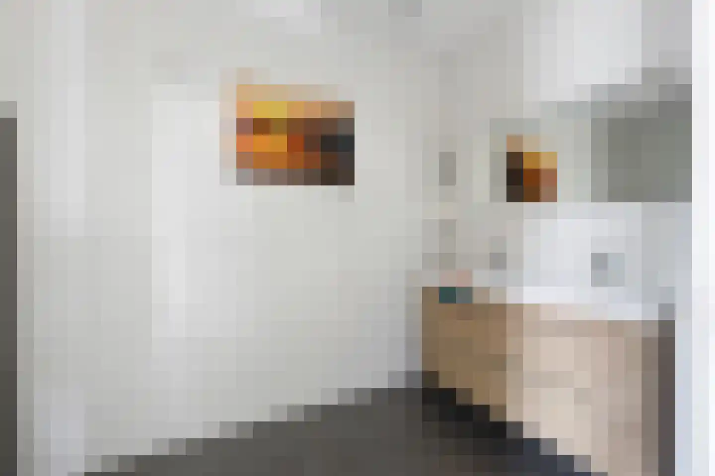 Laan van de Bevrijding 14 Arnhem thumbnail 28