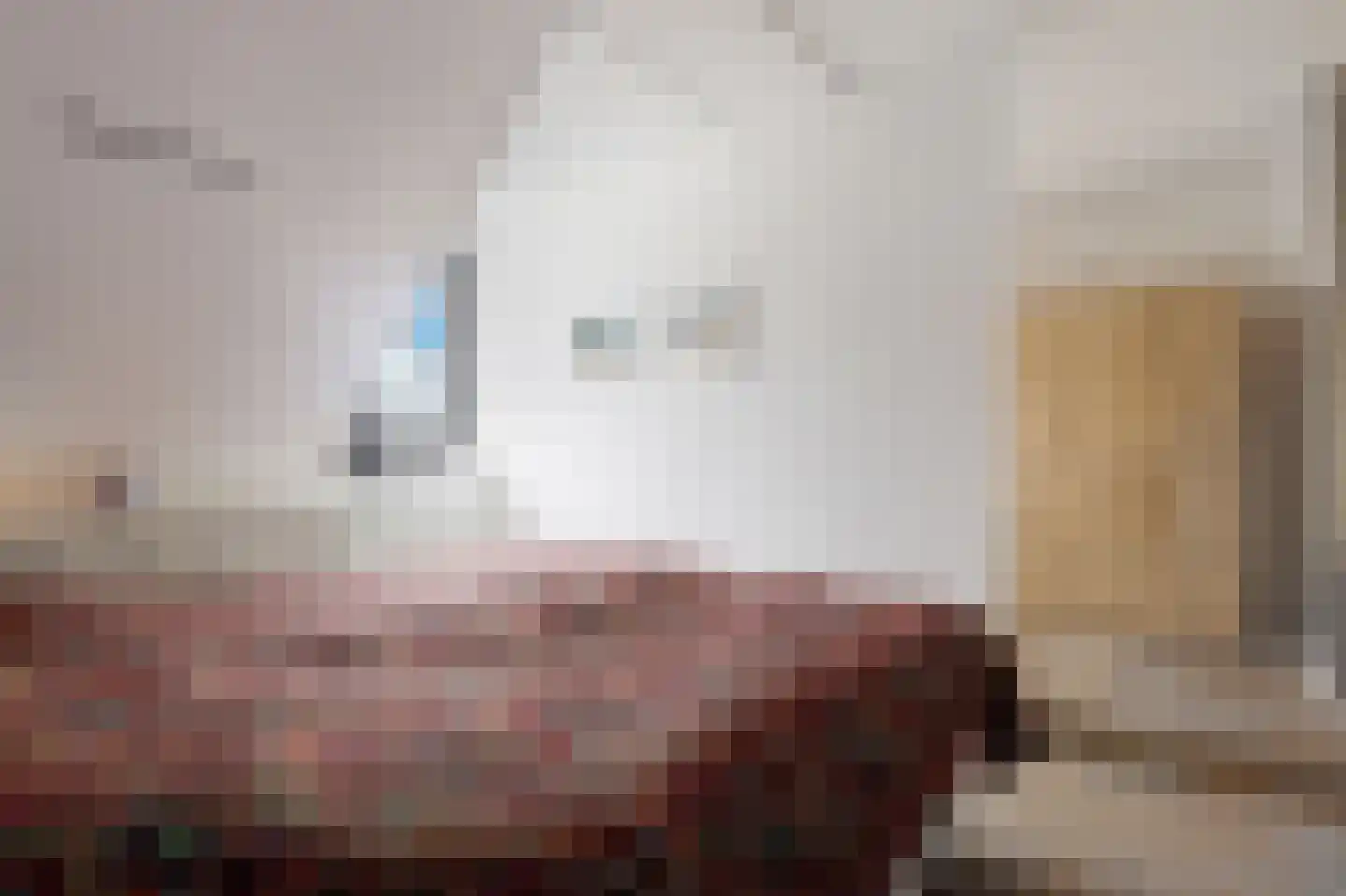 Laan van de Bevrijding 14 Arnhem thumbnail 31