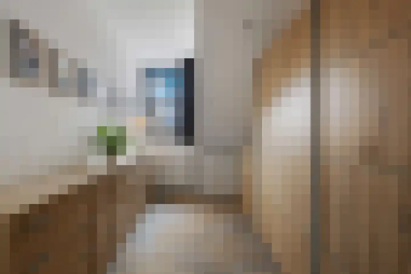 Laan van de Bevrijding 14 Arnhem thumbnail 32