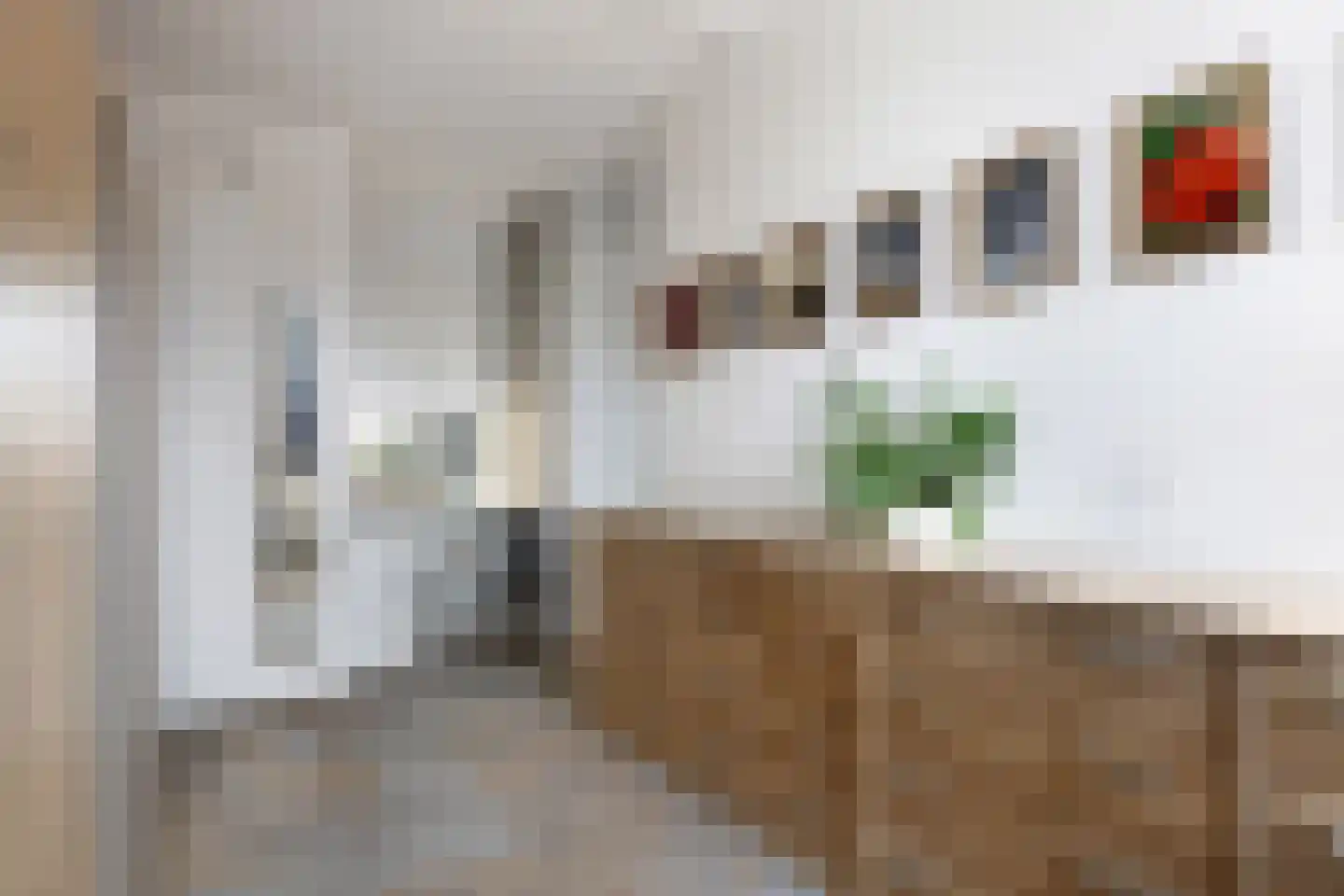 Laan van de Bevrijding 14 Arnhem thumbnail 34