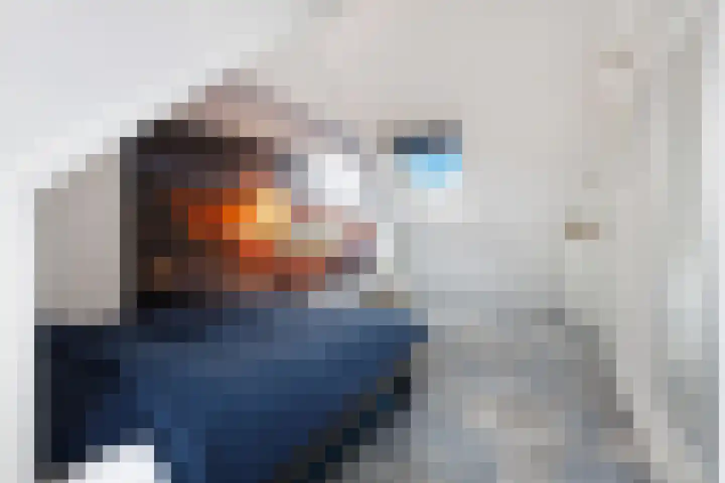 Laan van de Bevrijding 14 Arnhem thumbnail 39