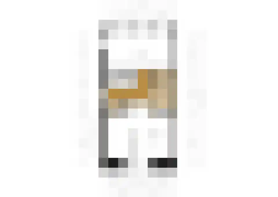Laan van de Bevrijding 14 Arnhem thumbnail 55