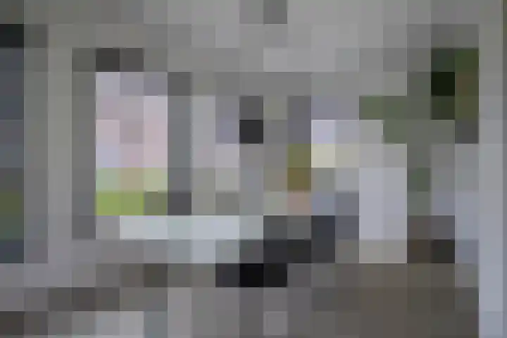 Laan van de Bevrijding 26 Arnhem thumbnail 10