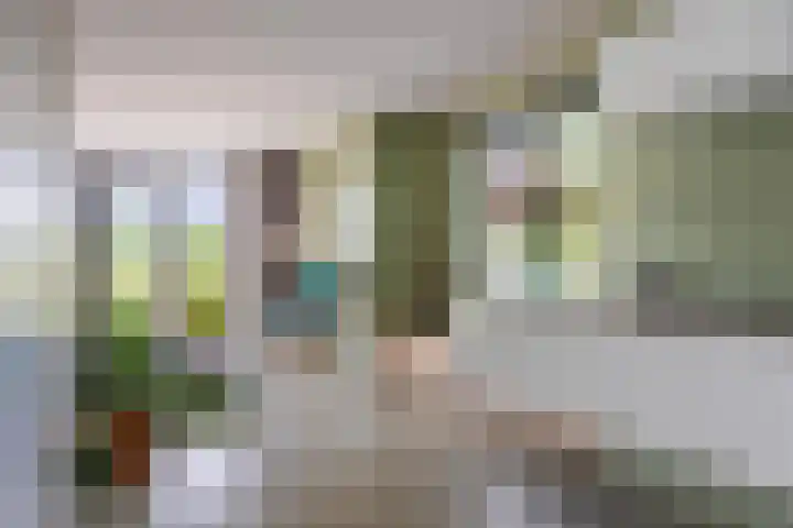 Laan van de Bevrijding 26 Arnhem thumbnail 11