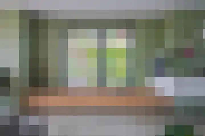 Laan van de Bevrijding 26 Arnhem thumbnail 12