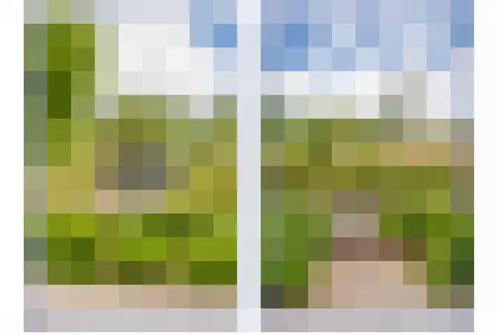 Laan van de Bevrijding 26 Arnhem thumbnail 18