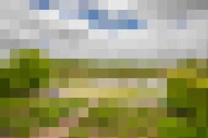 Laan van de Bevrijding 26 Arnhem thumbnail 20
