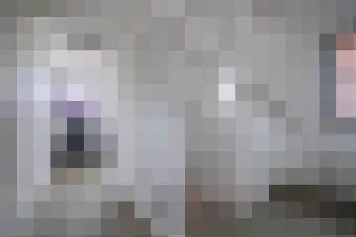 Laan van de Bevrijding 26 Arnhem thumbnail 21