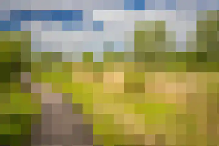 Laan van de Bevrijding 26 Arnhem thumbnail 34