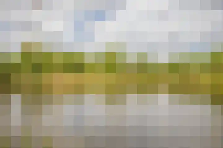 Laan van de Bevrijding 26 Arnhem thumbnail 35