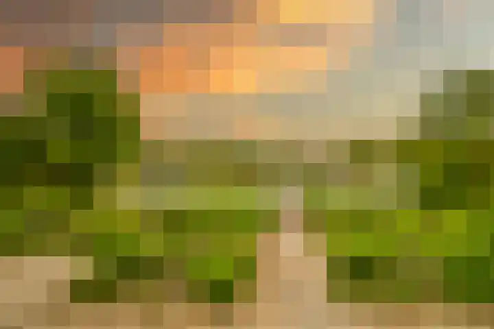 Laan van de Bevrijding 26 Arnhem thumbnail 5