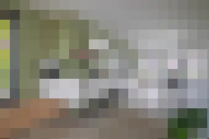 Laan van de Bevrijding 26 Arnhem thumbnail 8