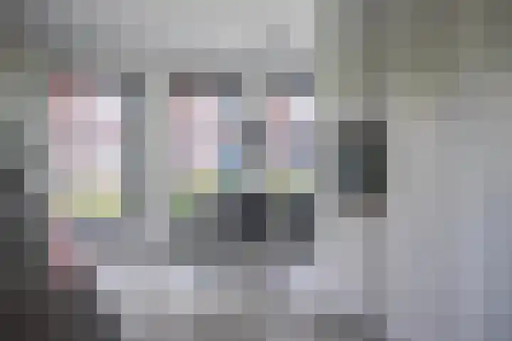 Laan van de Bevrijding 26 Arnhem thumbnail 9