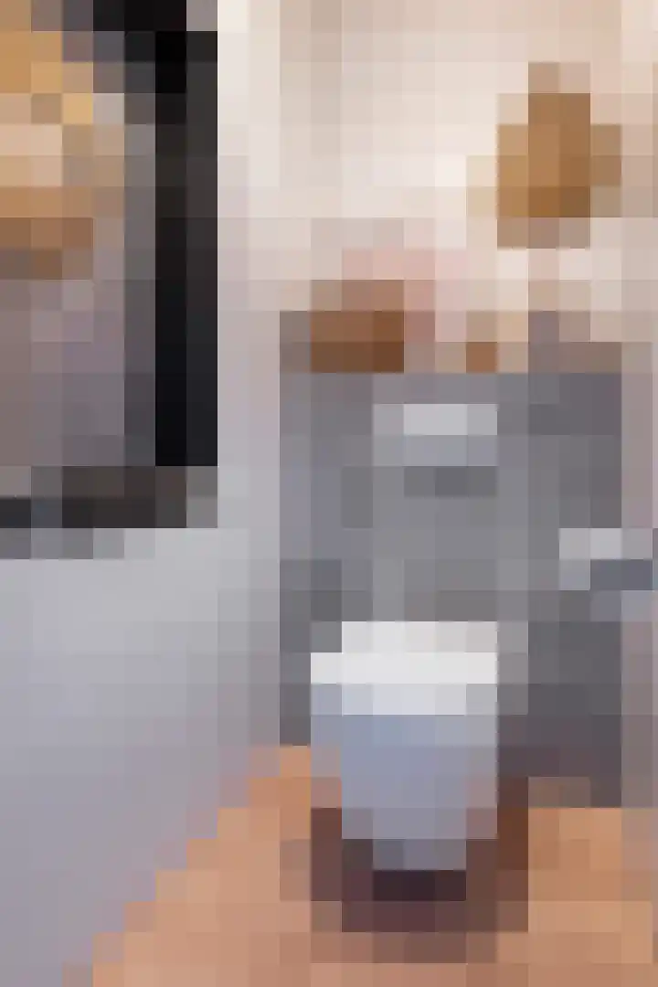 Laan van de Bork 230 Emmen thumbnail 10