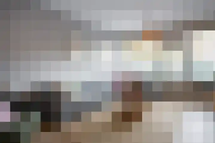 Laan van de Bork 230 Emmen thumbnail 12