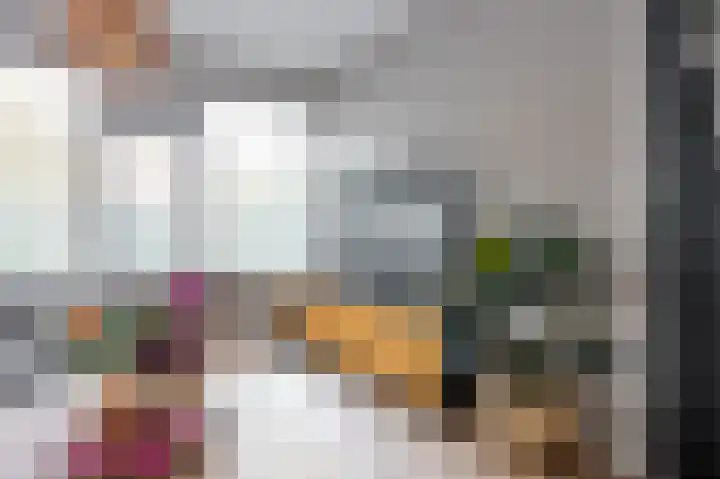 Laan van de Bork 230 Emmen thumbnail 13