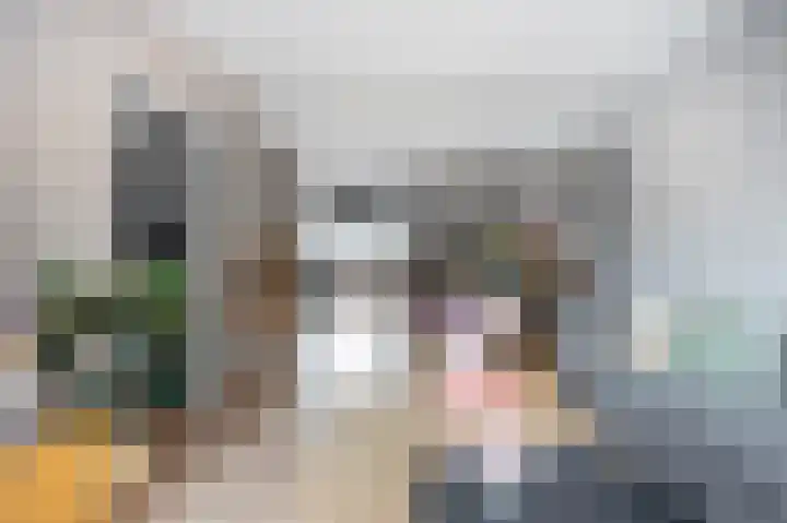 Laan van de Bork 230 Emmen thumbnail 14