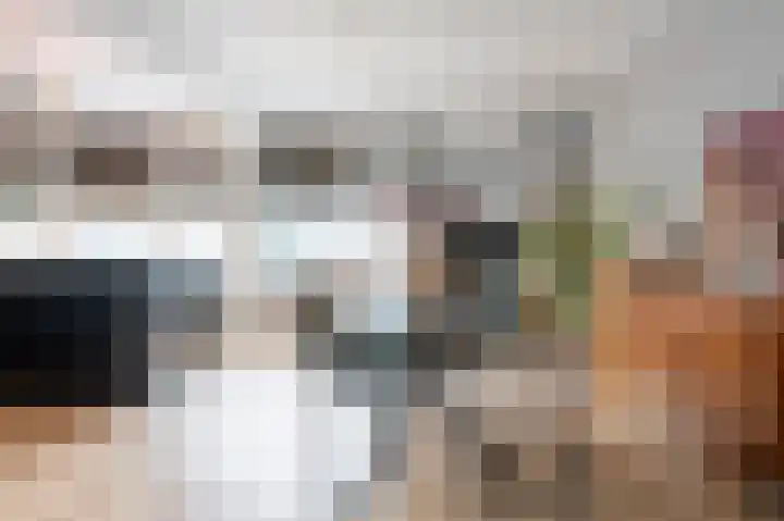 Laan van de Bork 230 Emmen thumbnail 15