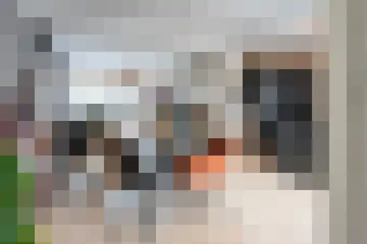 Laan van de Bork 230 Emmen thumbnail 16