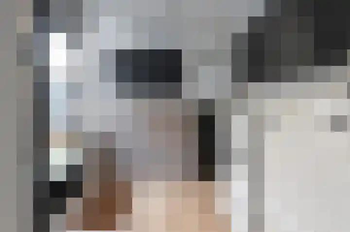 Laan van de Bork 230 Emmen thumbnail 18