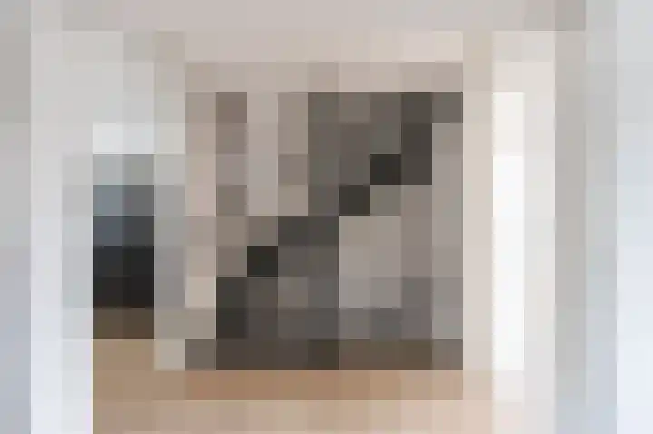 Laan van de Bork 230 Emmen thumbnail 19