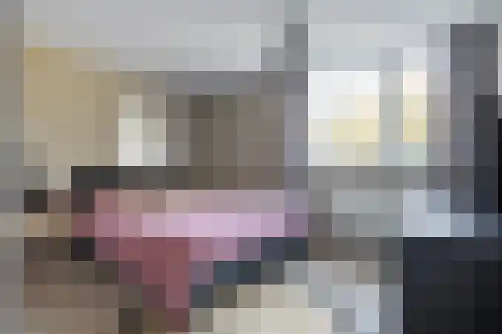 Laan van de Bork 230 Emmen thumbnail 20