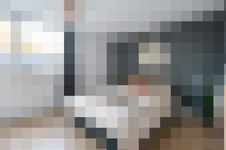 Laan van de Bork 230 Emmen thumbnail 21
