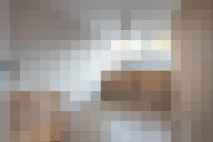 Laan van de Bork 230 Emmen thumbnail 23