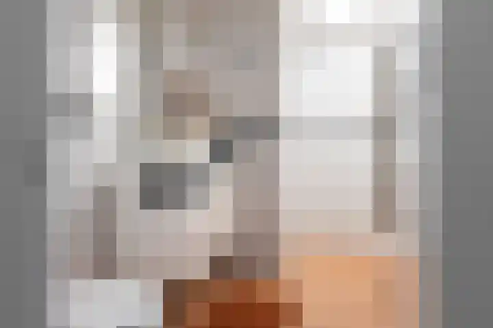Laan van de Bork 230 Emmen thumbnail 24
