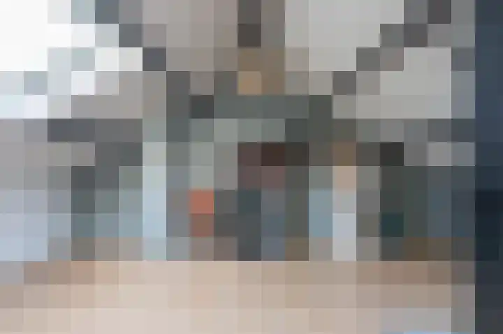Laan van de Bork 230 Emmen thumbnail 27