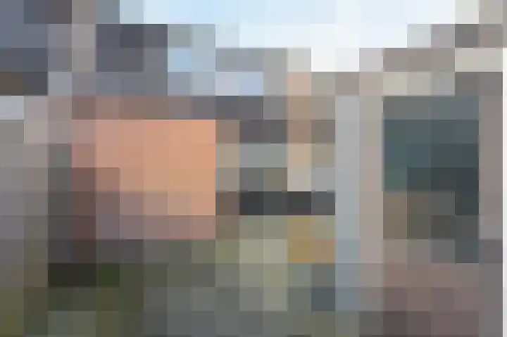 Laan van de Bork 230 Emmen thumbnail 29