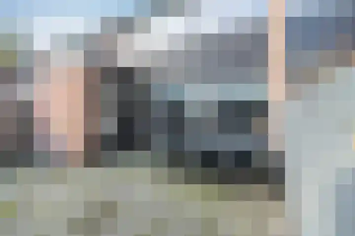 Laan van de Bork 230 Emmen thumbnail 30