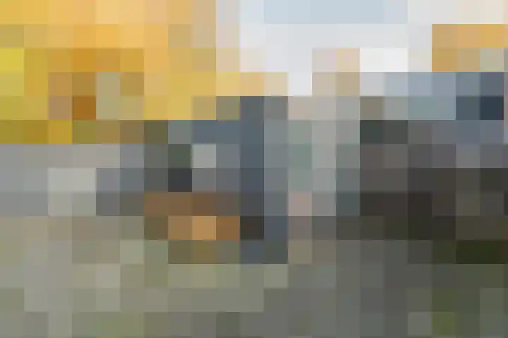 Laan van de Bork 230 Emmen thumbnail 31