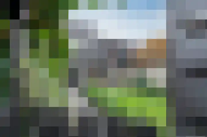 Laan van de Bork 230 Emmen thumbnail 4