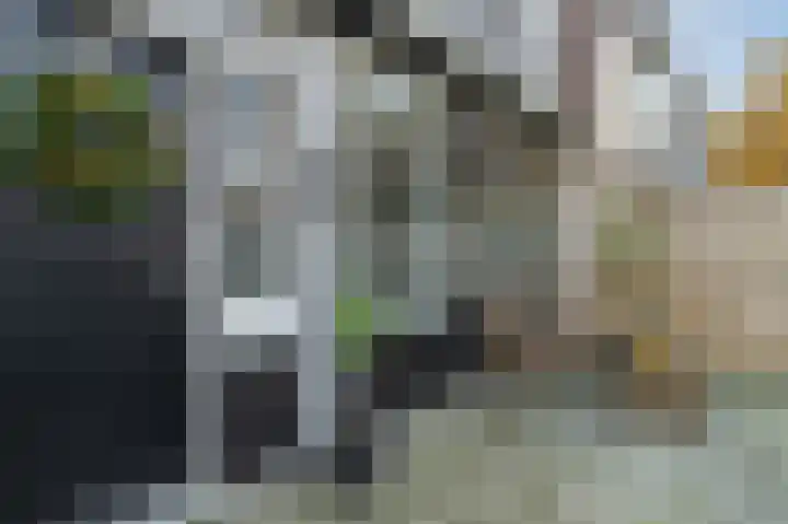 Laan van de Bork 230 Emmen thumbnail 7